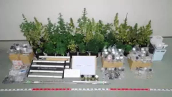 大麻を栽培や大麻入りのクッキーを所持した疑い　岩手県の夫婦逮捕　香川・丸亀警察署