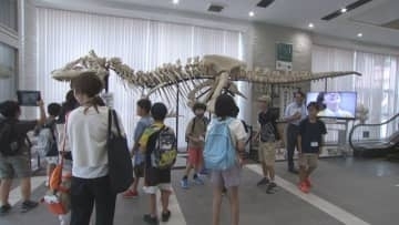 大きくてびっくり　小学生が恐竜の骨などを見学　岡山理科大学