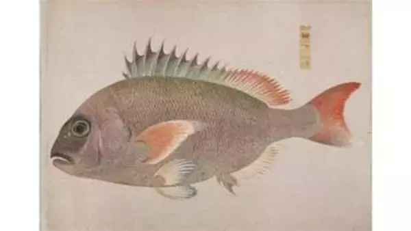 衆鱗図の複製など　栗林公園でサテライト展示　６月30日まで　香川