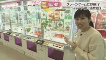 白菜3玉や20個入り卵も100円でゲット!? 個性的なクレーンゲームが人気　狙いとコツは　岡山・津山市
