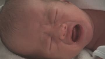 女の子「翠」　男の子「碧」が１位　赤ちゃんの名前ランキング2025　ベネッセ調査