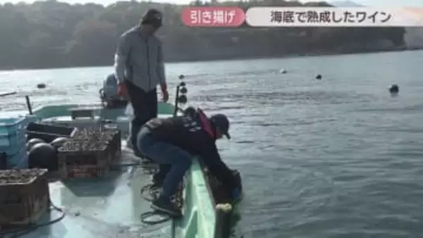 海底で熟成させたワインを引き揚げ　12月から販売へ　224ワイナリー　香川・小豆島