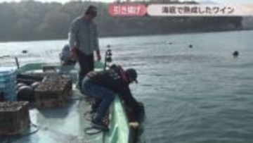 海底で熟成させたワインを引き揚げ　12月から販売へ　224ワイナリー　香川・小豆島