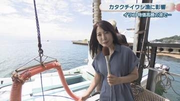 伊吹島でカタクチイワシ漁が解禁　重油高騰で早めに漁をきりあげる網元も　香川・観音寺市