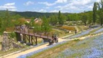 赤磐市に〝盆ジョヴィがやってくる！！　3月1日「あかいわ桃磐祭」初開催 　岡山