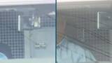 「新見市の官製談合事件　市職員ら男2人を送検　2人は遠縁関係…以前から価格漏洩繰り返していたか　岡山」の画像1