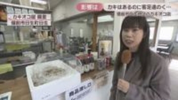 「報道でカキがないと思っている人がすごく多い」カキはあるのに客が来ない…日生のカキオコ店に影響　岡山・備前市