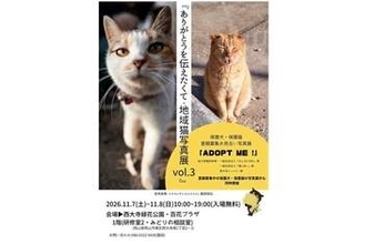 岡山市で「地域猫」テーマの写真展 川柳やイラストも 11月7日と8日