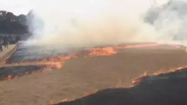 早春の恒例行事　後楽園の「芝焼き」を2月4日に実施へ　岡山後楽園