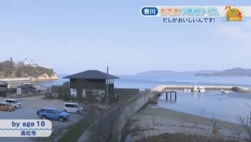 植物由来のものだけで作った「だし」がおいしい！グルテンフリーの新感覚うどん　高松市