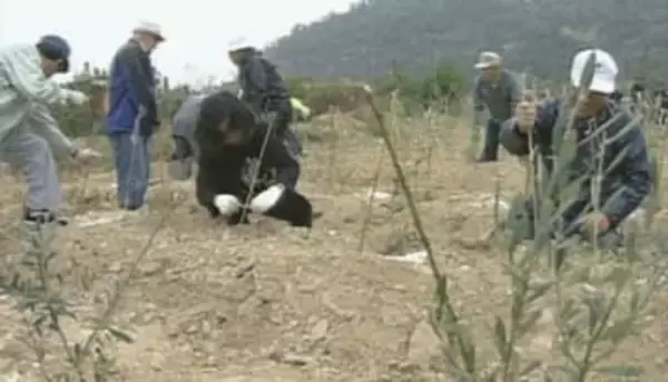 豊島から環境教育の未来を考える　瀬戸内オリーブ基金創立25周年　11月に岡山で記念式典