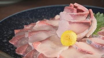 高松市が魚のさばき方教室を開催　イカやハマチの刺身など