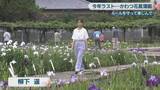 「かわつ花菖蒲園　最後の一般公開　ルールを守って楽しんで　香川・坂出市」の画像1