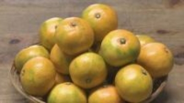 高松市が「果実酒特区」に認定　地元産ブドウ・ミカンで果実酒を製造へ