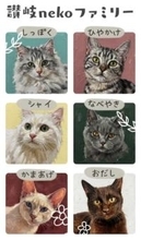 香川・宇多津町に猫カフェがオープン