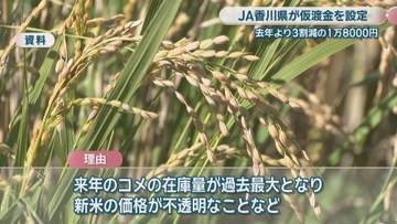 JA香川県　県産コシヒカリの仮渡金を前年より3割減の1万8000円に　農家から不安の声