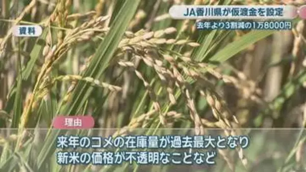 JA香川県　県産コシヒカリの仮渡金を前年より3割減の1万8000円に　農家から不安の声