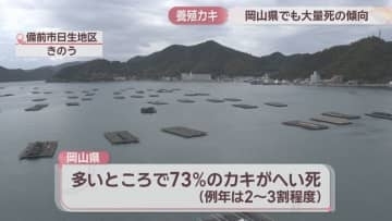 岡山県でも養殖カキ大量死の傾向　知事「影響は限定的な可能性」