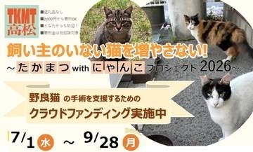 野良猫の不妊去勢手術を支援するためのクラウドファンディング　目標175万円　高松市