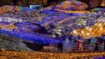 国営讃岐まんのう公園で20年目のイルミネーション　11月29日から　香川