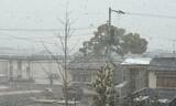 「高松市内も雪景色　9日明け方にかけて山沿い中心に大雪　平野でも積雪の予想　香川」の画像1