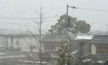 高松市内も雪景色　9日明け方にかけて山沿い中心に大雪　平野でも積雪の予想　香川