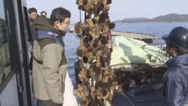 瀬戸内海のカキ大量死　水産庁が養殖場や加工場など現地調査　高松市