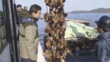 瀬戸内海のカキ大量死　水産庁が養殖場や加工場など現地調査　高松市