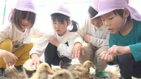 園児がアイガモ農法を見学　「安心できる米を食べてもらいたい」香川・東かがわ市