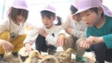 園児がアイガモ農法を見学　「安心できる米を食べてもらいたい」香川・東かがわ市