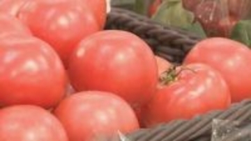 高松市2026年2月の消費者物価指数　トマトなど前月から下落