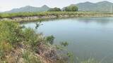 「ため池は何のため？いくつある？　香川県に聞いてみた【みんなのハテナ】」の画像1