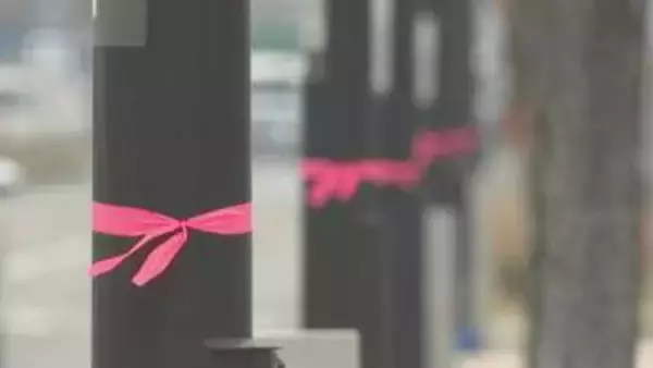 「香川の街路灯にピンク色のリボン　誰が？なぜ結んでいる？」の画像