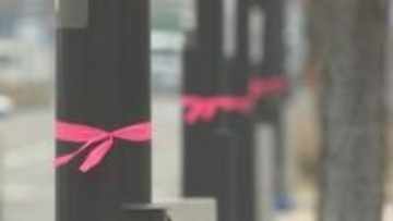 香川の街路灯にピンク色のリボン　誰が？なぜ結んでいる？