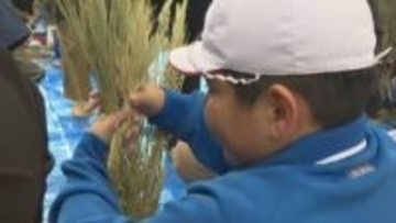 小学生が稲わらを使った「しめ縄」作りを体験　香川・善通寺市