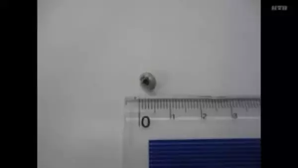 中学校の給食に異物が混入「野菜を切るスライサーの台が欠けていた」