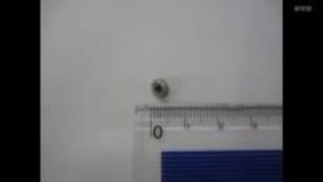 中学校の給食に異物が混入「野菜を切るスライサーの台が欠けていた」