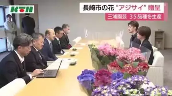 雨の季節に似合う花・アジサイ　35品種育てる園芸業者が長崎市長に贈呈　5月には長崎市内にアジサイを飾るイベントも