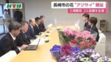 雨の季節に似合う花・アジサイ　35品種育てる園芸業者が長崎市長に贈呈　5月には長崎市内にアジサイを飾るイベントも