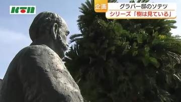 “グラバーが愛した”木や植物の物語　植樹から120年以上「グラバー邸のソテツ」
