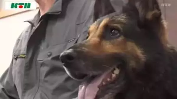 警察犬“お手柄”長崎市で行方不明になった小学生を発見！ドッグフード贈呈
