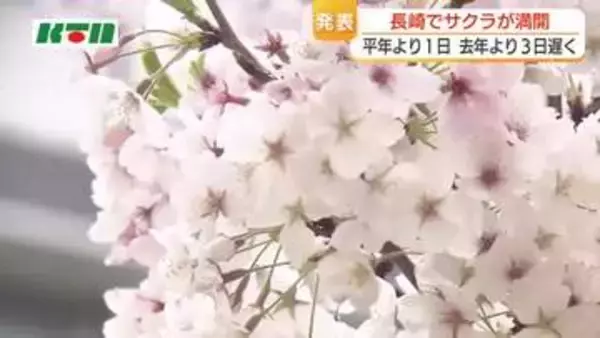 長崎で桜が満開…平年より1日、2025年より3日遅い満開　天気は下り坂で4日は春の嵐　5日はお花見日和か