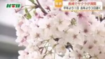 長崎で桜が満開…平年より1日、2025年より3日遅い満開　天気は下り坂で4日は春の嵐　5日はお花見日和か