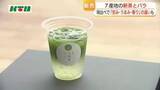 「「こんなに違うんだ」長崎県内7つの産地のお茶を飲み比べ　来場者は味の違いに驚き」の画像1