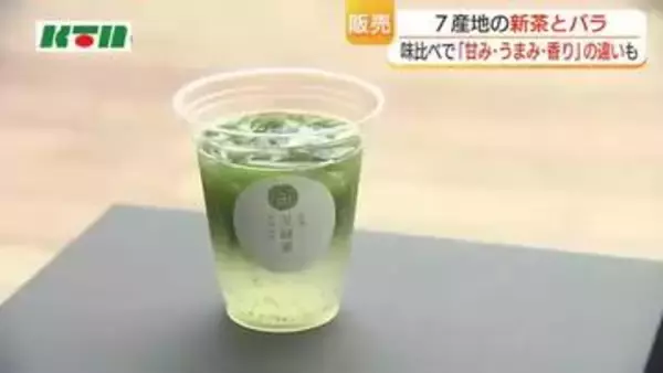 「こんなに違うんだ」長崎県内7つの産地のお茶を飲み比べ　来場者は味の違いに驚き
