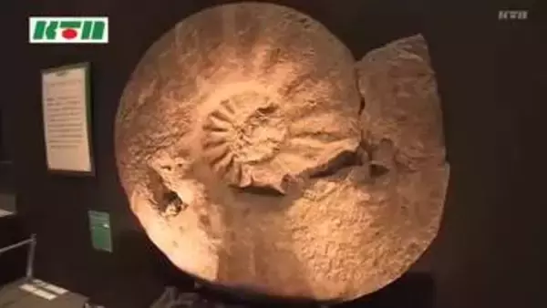 巨大スケールで体感！長崎・恐竜博物館で「海展」17日から　子供たちも興味津々