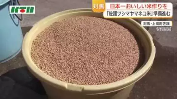 「日本一おいしい米作りを」　対馬で「佐護ツシマヤマネコ米」の種まき