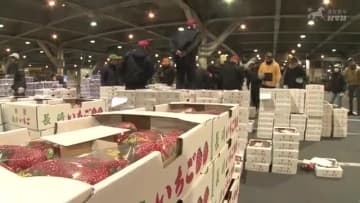 タマネギは前年の2割高！葉物野菜は平年並み 中央卸売市場で初競り「ある程度高値が続く傾向…」