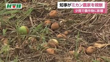 渇水で農作物に影響　ミカンの収量は平年の6～7割に　平田知事が長崎県佐世保市の農家を視察