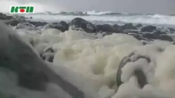 荒々しい冬の海とは対照的に“かれん”五島の海岸で「波の花」
